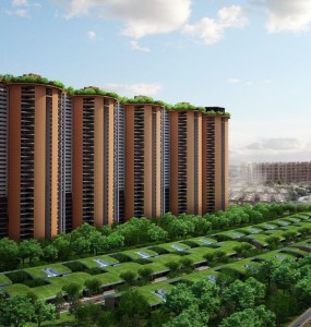 Total-environment-pursuit-of-a-radical-rhapsody-whitefield-bangalore